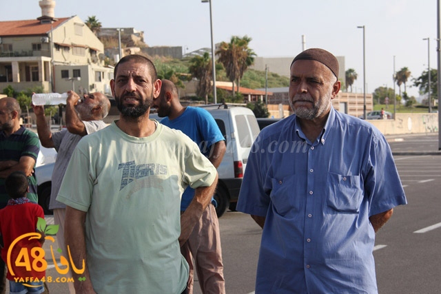 7oajaj yaffa j384 (3).JPG